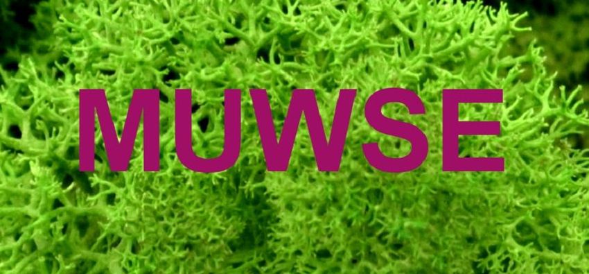 Zum Shop: Muwse