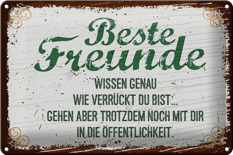 Blechschild Spruch Beste Freunde verrückt wissen genau 30x20cm Schild