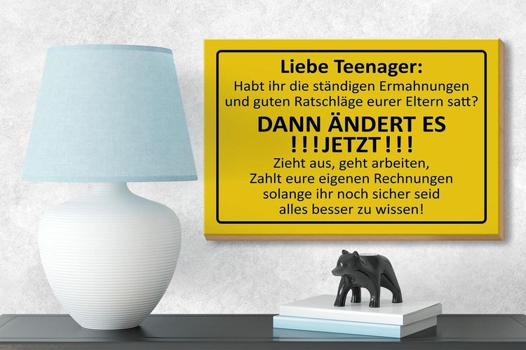 Holzschild Spruch 18x12cm Liebe Teenager ÄNDERT ES Deko Schild kaufen