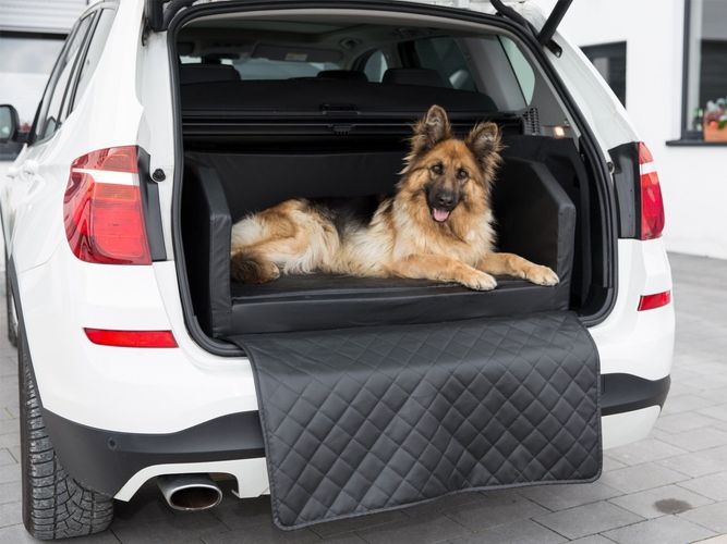 Hunde-Bett für den Kofferraum und Zuhause - autodecke