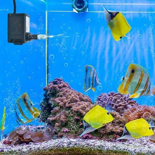30 W Mini Aquarium Pumpe mit 2,5 m Hohem Hub & 1,83 m Netzkabel & 3 Düsen  Wasserpumpe 1400 L/h - Costway