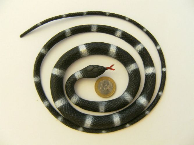 Gummischlangen 8erSet 11-15cm bunt Schlange Schlangen Kindergeburtstag Tiere neu 