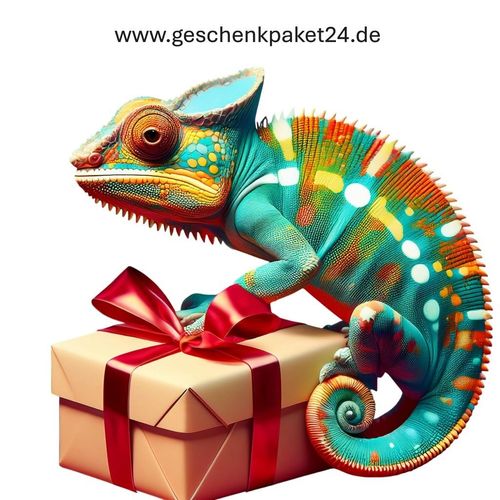 geschenkpaket24de