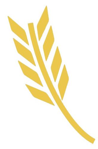 Raiffeisen-Markt Online