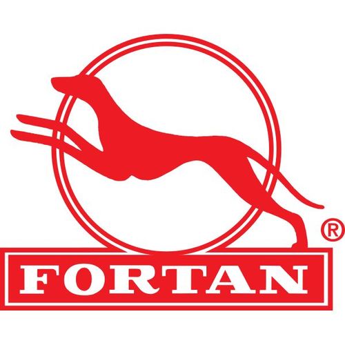FORTAN