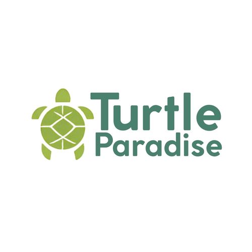 Turtle Paradise