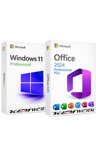 Microsoft Office 2024 Professional Plus + Windows 11 Pro Bundle kaufen ...