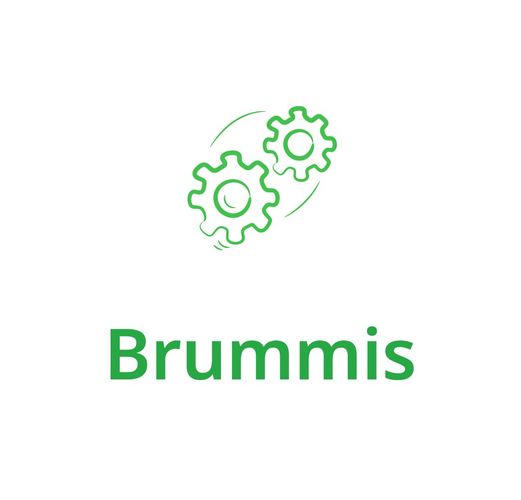 Brummis