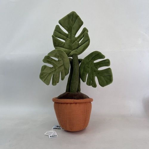 monstera peru epipremnum marble planet Epipremnum 'Marble Planet' | Monstera Peru main image 1