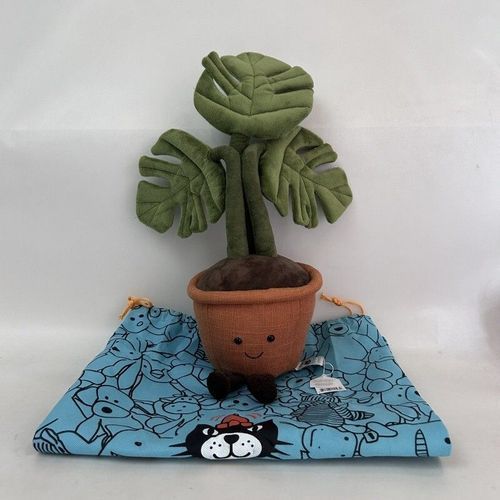 monstera deliciosa preis Grosse Monstera