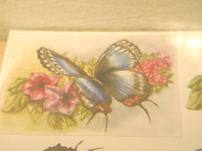 Zwei 3d Papierbastelbogen Schmetterlinge Und Fische Von Le Suh Kaufen Bei Hood De