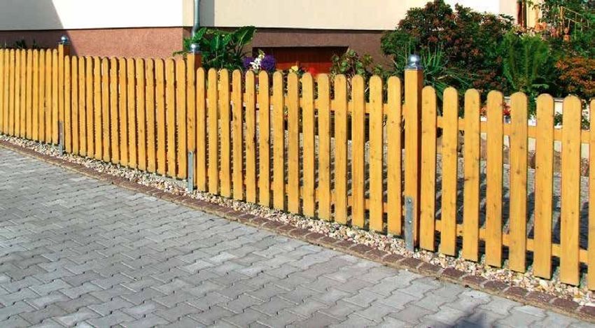 Douglasie 28 x 96 mm L Rundkopf-Zaunlatten europ LÄRCHE 0,80+1,00+1,20m