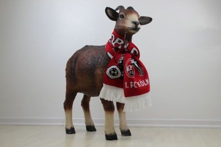 Geißbock Braun Lebensgroß Hennes mit 1. FC Köln Schal ...