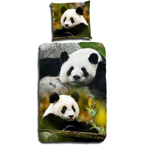 Good Morning Bettwasche 2458 Sammy Bunt Panda Wildnis Pandabar Tier Jungle Bunt Kaufen Bei Hood De