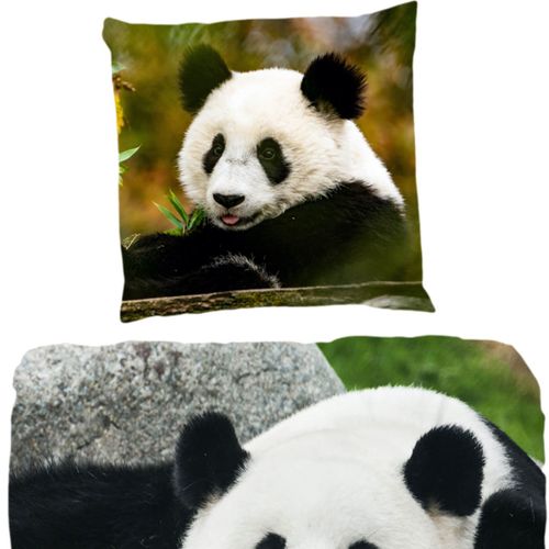 Good Morning Bettwasche 2458 Sammy Bunt Panda Wildnis Pandabar Tier Jungle Bunt Kaufen Bei Hood De