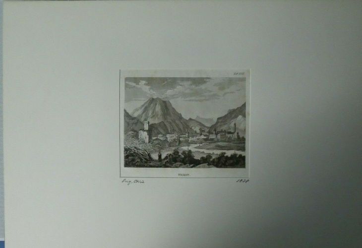 Bibliogr. Inst. in Hildbh. Stahlstich Trient 30x23cm H13496 kaufen bei  Hood.de