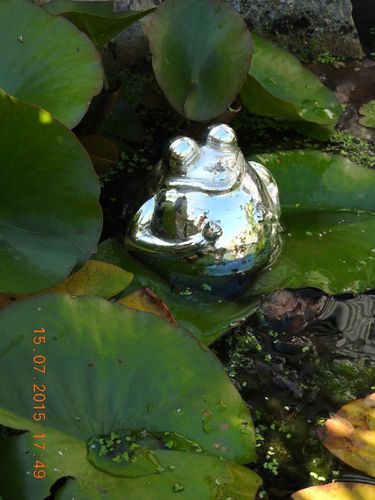 Schwimmfrosch Silber Kugel Glas Teich Dekoration Garten Schwimmteich Gartenteich Kaufen Bei Hood De