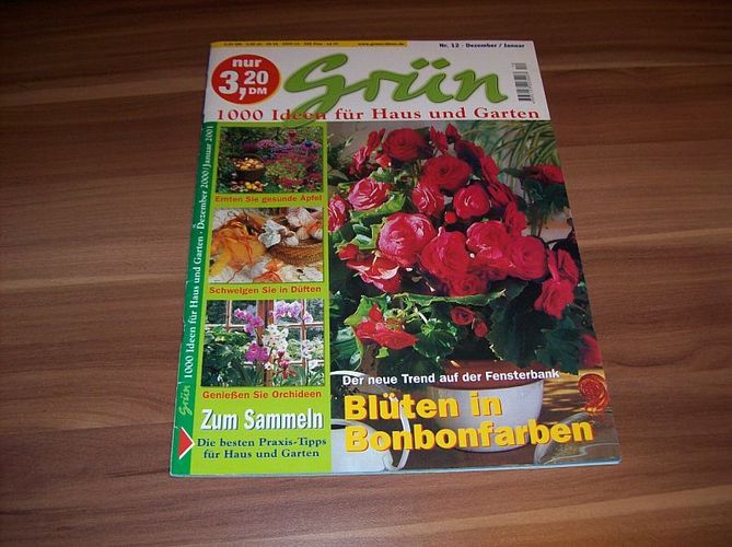 Zeitschrift Grun Nr 12 Dez 2000 Jan 2001 Kaufen Bei Hood De